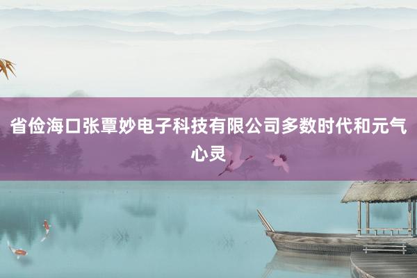 省俭海口张覃妙电子科技有限公司多数时代和元气心灵